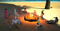 Beach fire